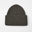 Load image into Gallery viewer, Large Cuff Merino Wool Beanie
