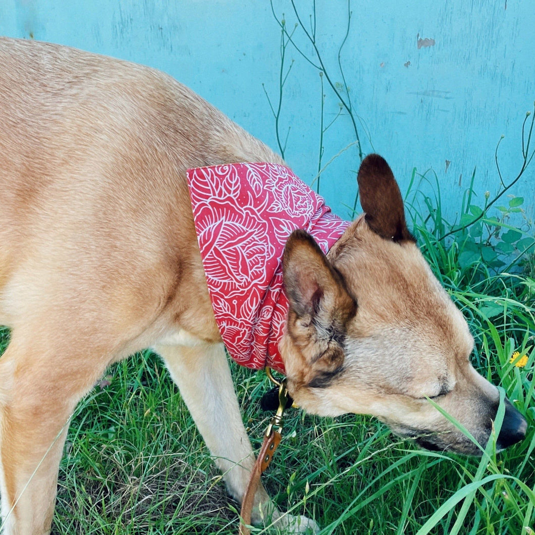 CS Collection: Floral Collar Dog Bandana - Cotton in various sizes